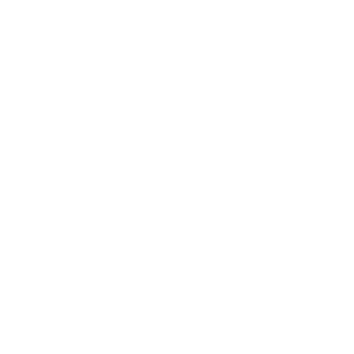 FGS Representações